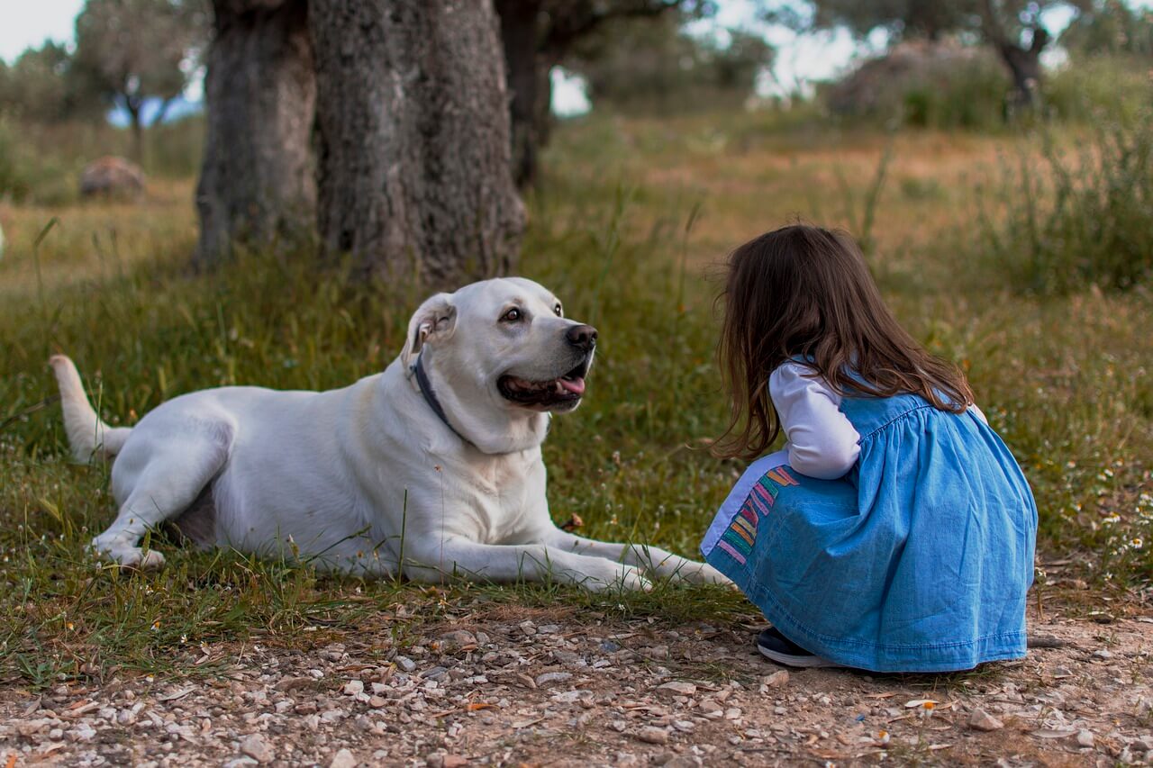 犬と子供